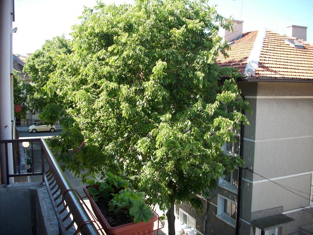 פומורי Georgievi Guest House מראה חיצוני תמונה